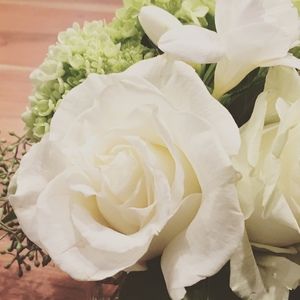 Meet your Posher, Irene